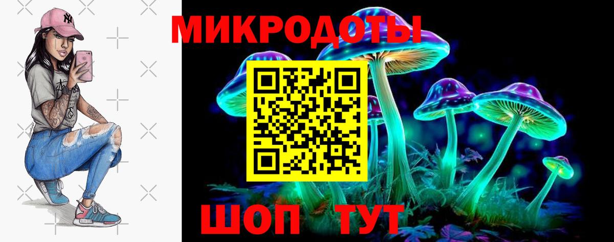 Псилоцибиновые грибы прущие грибы Краснодар