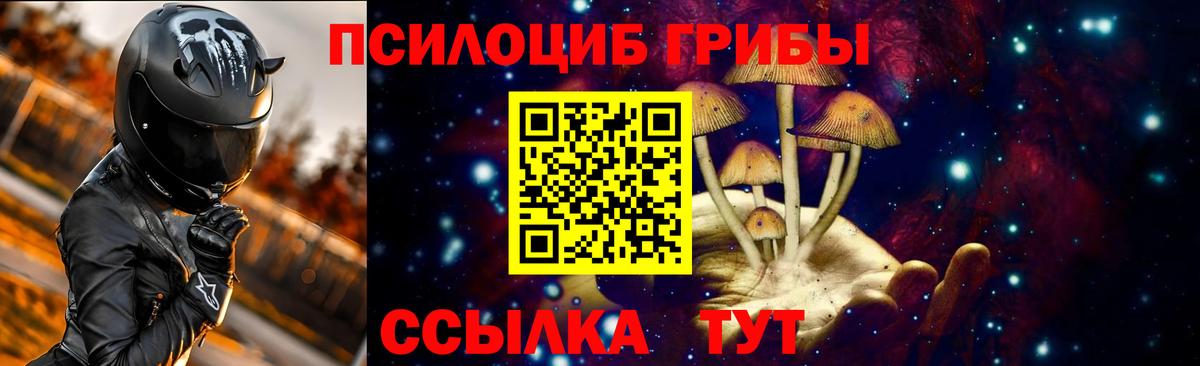 Галлюциногенные грибы Magic Shrooms  хочу наркоту  Краснодар  Вход с VPN 